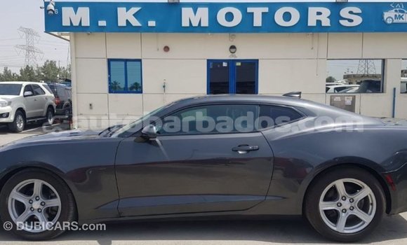 Buy Import Chevrolet Camaro Other Car in Import - Dubai in Barbados Buy Import Chevrolet Camaro Other Car in Import - Dubai in Barbados