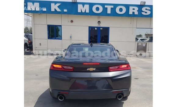 Buy Import Chevrolet Camaro Other Car in Import - Dubai in Barbados Buy Import Chevrolet Camaro Other Car in Import - Dubai in Barbados