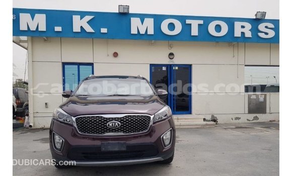 Buy Import Kia Sorento Red Car in Import - Dubai in Barbados Buy Import Kia Sorento Red Car in Import - Dubai in Barbados
