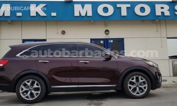Buy Import Kia Sorento Red Car in Import - Dubai in Barbados Buy Import Kia Sorento Red Car in Import - Dubai in Barbados