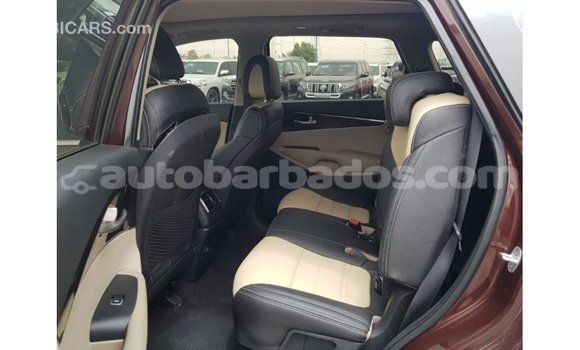 Buy Import Kia Sorento Red Car in Import - Dubai in Barbados Buy Import Kia Sorento Red Car in Import - Dubai in Barbados