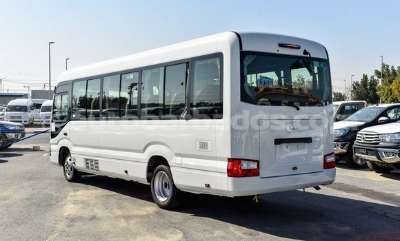 Buy Import Toyota Coaster White Car in Import - Dubai in Barbados Buy Import Toyota Coaster White Car in Import - Dubai in Barbados