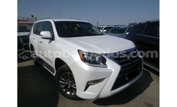 Buy Import Lexus GX White Car in Import - Dubai in Barbados Buy Import Lexus GX White Car in Import - Dubai in Barbados