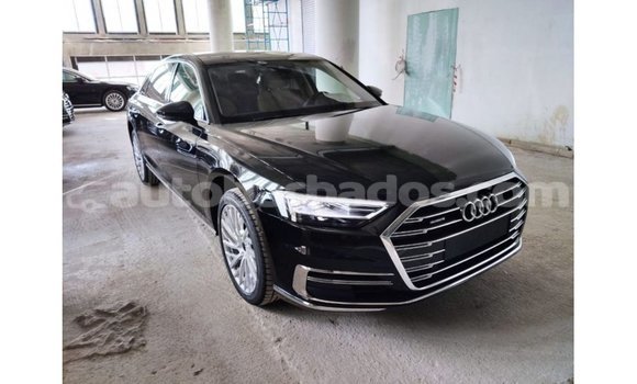 Buy Import Audi A8 Black Car in Import - Dubai in Barbados