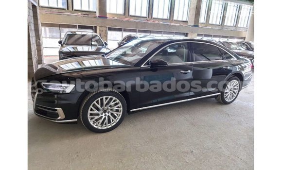 Buy Import Audi A8 Black Car in Import - Dubai in Barbados Buy Import Audi A8 Black Car in Import - Dubai in Barbados