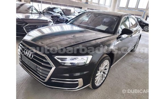 Buy Import Audi A8 Black Car in Import - Dubai in Barbados Buy Import Audi A8 Black Car in Import - Dubai in Barbados
