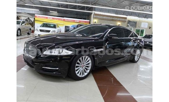 Buy Import Jaguar XJ Black Car in Import - Dubai in Barbados Buy Import Jaguar XJ Black Car in Import - Dubai in Barbados
