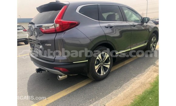 Buy Import Honda C Other Bike in Import - Dubai in Barbados Buy Import Honda C Other Bike in Import - Dubai in Barbados