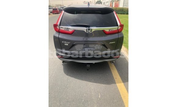 Buy Import Honda C Other Bike in Import - Dubai in Barbados Buy Import Honda C Other Bike in Import - Dubai in Barbados