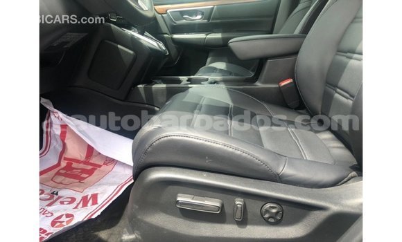 Buy Import Honda C Other Bike in Import - Dubai in Barbados Buy Import Honda C Other Bike in Import - Dubai in Barbados