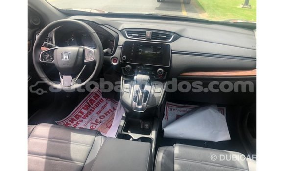 Buy Import Honda C Other Bike in Import - Dubai in Barbados Buy Import Honda C Other Bike in Import - Dubai in Barbados