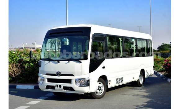 Buy Import Toyota Coaster White Car in Import - Dubai in Barbados Buy Import Toyota Coaster White Car in Import - Dubai in Barbados