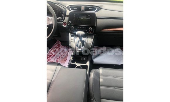 Buy Import Honda C Other Bike in Import - Dubai in Barbados Buy Import Honda C Other Bike in Import - Dubai in Barbados