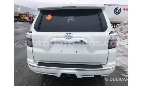 Buy Import Toyota HiAce White Truck in Import - Dubai in Barbados Buy Import Toyota HiAce White Truck in Import - Dubai in Barbados