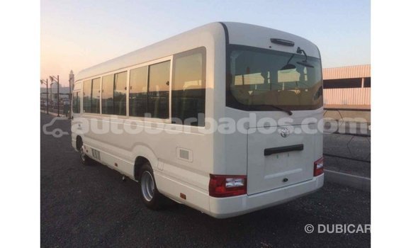 Buy Import Toyota Coaster White Car in Import - Dubai in Barbados Buy Import Toyota Coaster White Car in Import - Dubai in Barbados