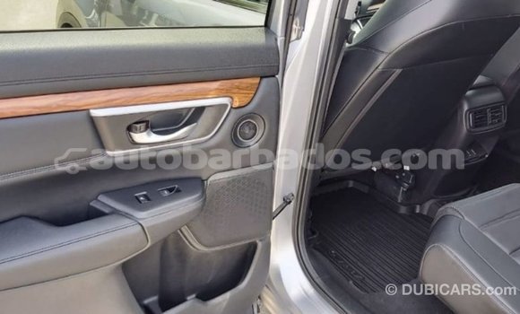 Buy Import Honda C Other Bike in Import - Dubai in Barbados Buy Import Honda C Other Bike in Import - Dubai in Barbados