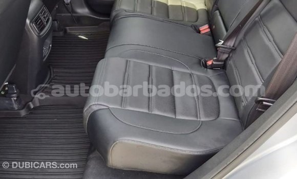 Buy Import Honda C Other Bike in Import - Dubai in Barbados Buy Import Honda C Other Bike in Import - Dubai in Barbados