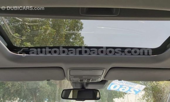 Buy Import Honda C Other Bike in Import - Dubai in Barbados Buy Import Honda C Other Bike in Import - Dubai in Barbados