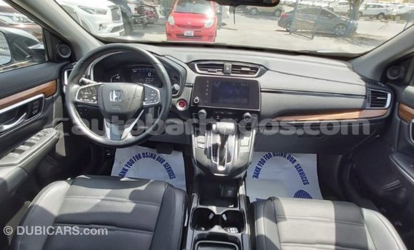 Buy Import Honda C Other Bike in Import - Dubai in Barbados Buy Import Honda C Other Bike in Import - Dubai in Barbados