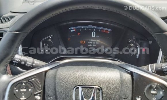 Buy Import Honda C Other Bike in Import - Dubai in Barbados Buy Import Honda C Other Bike in Import - Dubai in Barbados