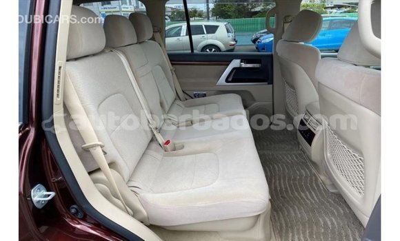 Buy Import Toyota Land Cruiser Red Car in Import - Dubai in Barbados Buy Import Toyota Land Cruiser Red Car in Import - Dubai in Barbados