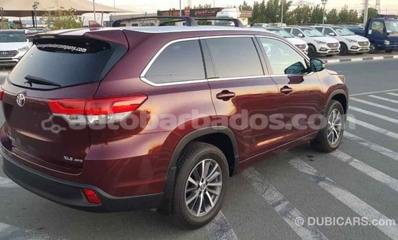 Buy Import Toyota Highlander Other Car in Import - Dubai in Barbados Buy Import Toyota Highlander Other Car in Import - Dubai in Barbados