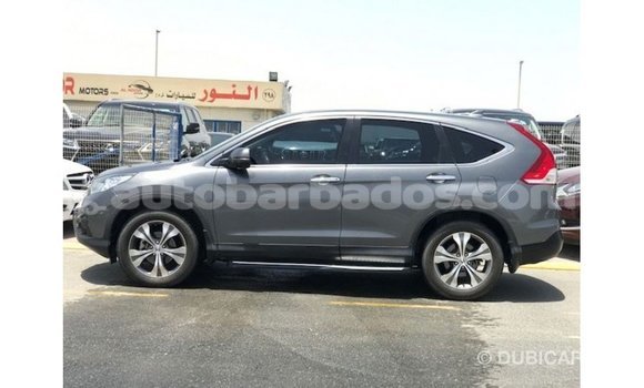 Buy Import Honda C Other Bike in Import - Dubai in Barbados Buy Import Honda C Other Bike in Import - Dubai in Barbados