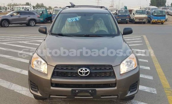 Buy Import Toyota HiAce Brown Truck in Import - Dubai in Barbados Buy Import Toyota HiAce Brown Truck in Import - Dubai in Barbados