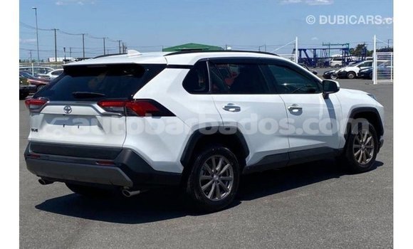 Buy Import Toyota HiAce White Truck in Import - Dubai in Barbados Buy Import Toyota HiAce White Truck in Import - Dubai in Barbados