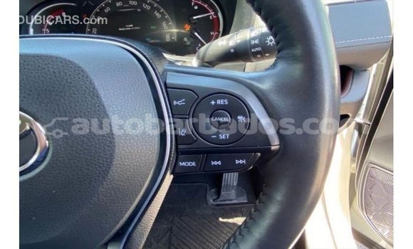 Buy Import Toyota HiAce White Truck in Import - Dubai in Barbados Buy Import Toyota HiAce White Truck in Import - Dubai in Barbados