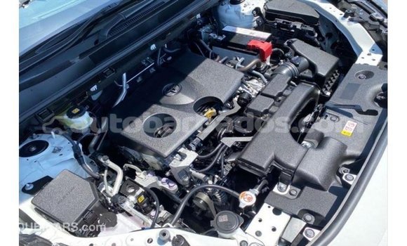 Buy Import Toyota HiAce White Truck in Import - Dubai in Barbados Buy Import Toyota HiAce White Truck in Import - Dubai in Barbados