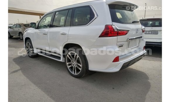 Buy Import Lexus LX White Car in Import - Dubai in Barbados Buy Import Lexus LX White Car in Import - Dubai in Barbados