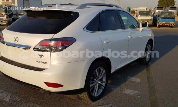 Buy Import Lexus RX 350 White Car in Import - Dubai in Barbados Buy Import Lexus RX 350 White Car in Import - Dubai in Barbados