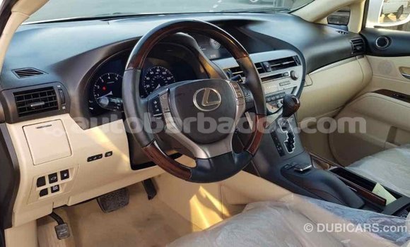 Buy Import Lexus RX 350 White Car in Import - Dubai in Barbados Buy Import Lexus RX 350 White Car in Import - Dubai in Barbados