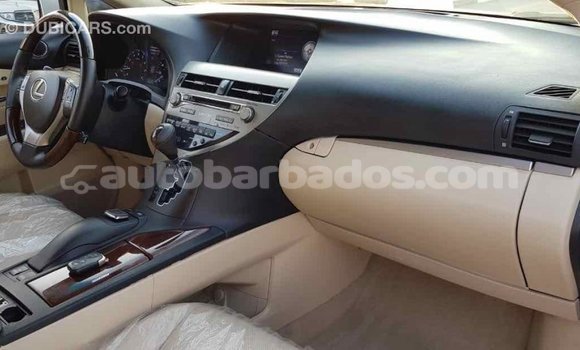 Buy Import Lexus RX 350 White Car in Import - Dubai in Barbados Buy Import Lexus RX 350 White Car in Import - Dubai in Barbados
