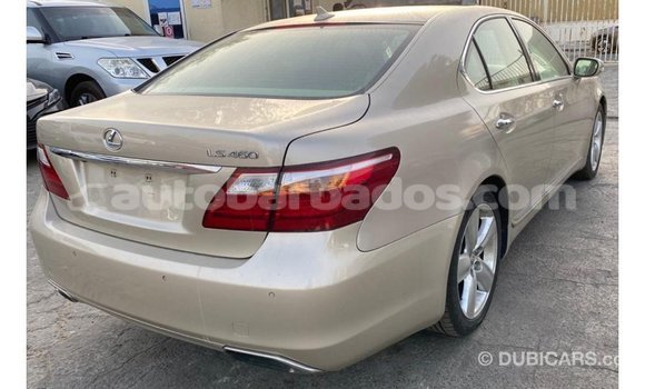 Buy Import Lexus LS Other Car in Import - Dubai in Barbados Buy Import Lexus LS Other Car in Import - Dubai in Barbados