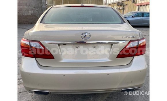 Buy Import Lexus LS Other Car in Import - Dubai in Barbados Buy Import Lexus LS Other Car in Import - Dubai in Barbados