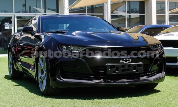 Buy Import Chevrolet Camaro Black Car in Import - Dubai in Barbados