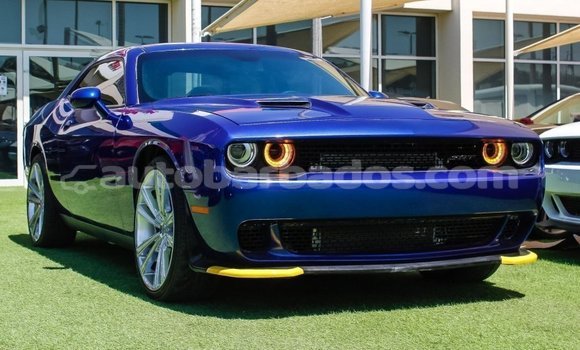 Buy Import Dodge Challenger Blue Car in Import - Dubai in Barbados
