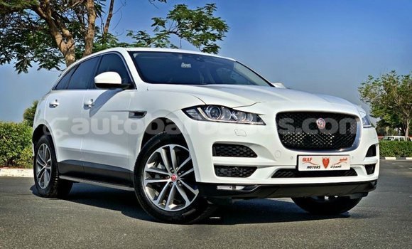 Buy Import Jaguar F-Pace White Car in Import - Dubai in Barbados
