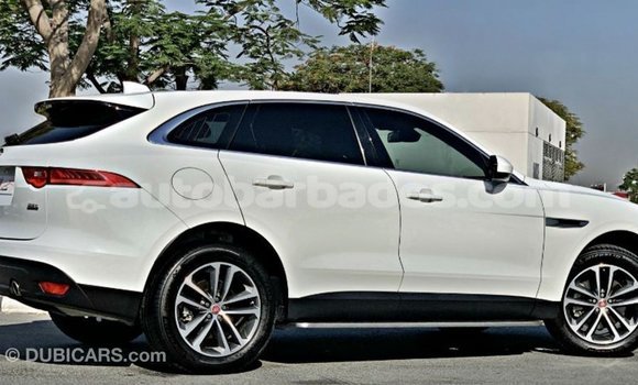 Buy Import Jaguar F-Pace White Car in Import - Dubai in Barbados Buy Import Jaguar F-Pace White Car in Import - Dubai in Barbados