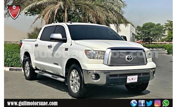 Buy Import Toyota Tundra White Car in Import - Dubai in Barbados