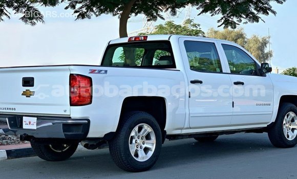 Buy Import Chevrolet Silverado White Car in Import - Dubai in Barbados Buy Import Chevrolet Silverado White Car in Import - Dubai in Barbados