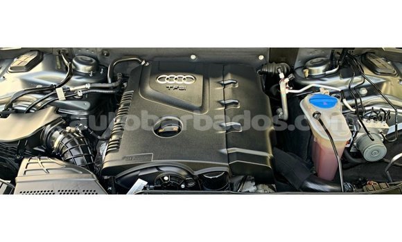 Buy Import Audi 100 Other Car in Import - Dubai in Barbados Buy Import Audi 100 Other Car in Import - Dubai in Barbados