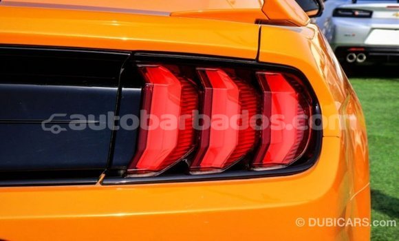 Buy Import Ford Mustang Other Car in Import - Dubai in Barbados Buy Import Ford Mustang Other Car in Import - Dubai in Barbados