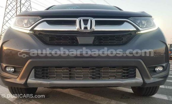 Buy Import Honda C Other Bike in Import - Dubai in Barbados Buy Import Honda C Other Bike in Import - Dubai in Barbados