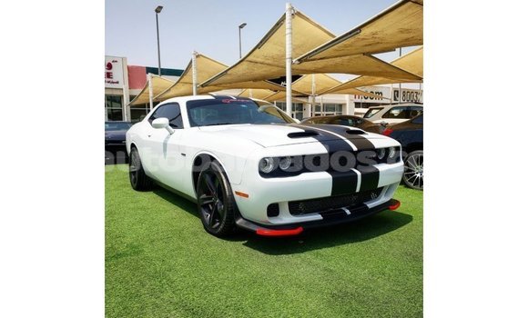 Buy Import Dodge Challenger White Car in Import - Dubai in Barbados