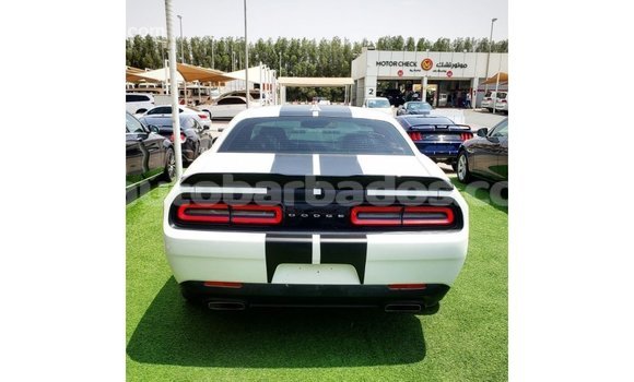 Buy Import Dodge Challenger White Car in Import - Dubai in Barbados Buy Import Dodge Challenger White Car in Import - Dubai in Barbados