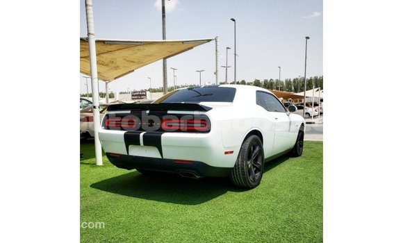 Buy Import Dodge Challenger White Car in Import - Dubai in Barbados Buy Import Dodge Challenger White Car in Import - Dubai in Barbados