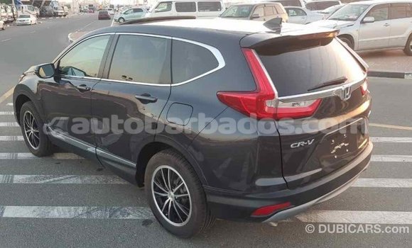 Buy Import Honda C Other Bike in Import - Dubai in Barbados Buy Import Honda C Other Bike in Import - Dubai in Barbados